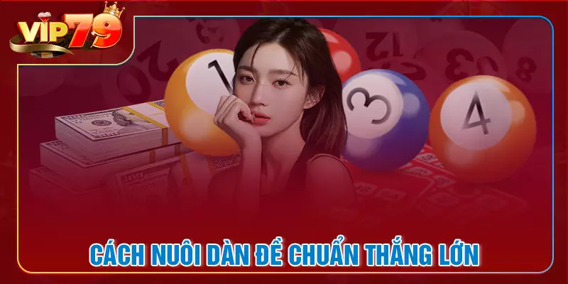 Bật mí cách nuôi dàn đề chuẩn giúp bạn thắng lớn