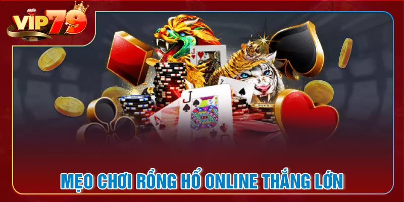 Kinh nghiệm chinh phục Rồng Hổ dành cho người mới