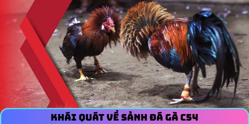 da-ga-c54-gioi-thieu